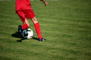 jiuyou入口-足球场馆数字化管理平台正式上线，提升运营效率，足球场管理系统app